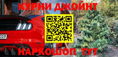 PSILOCYBIN Бугуруслан