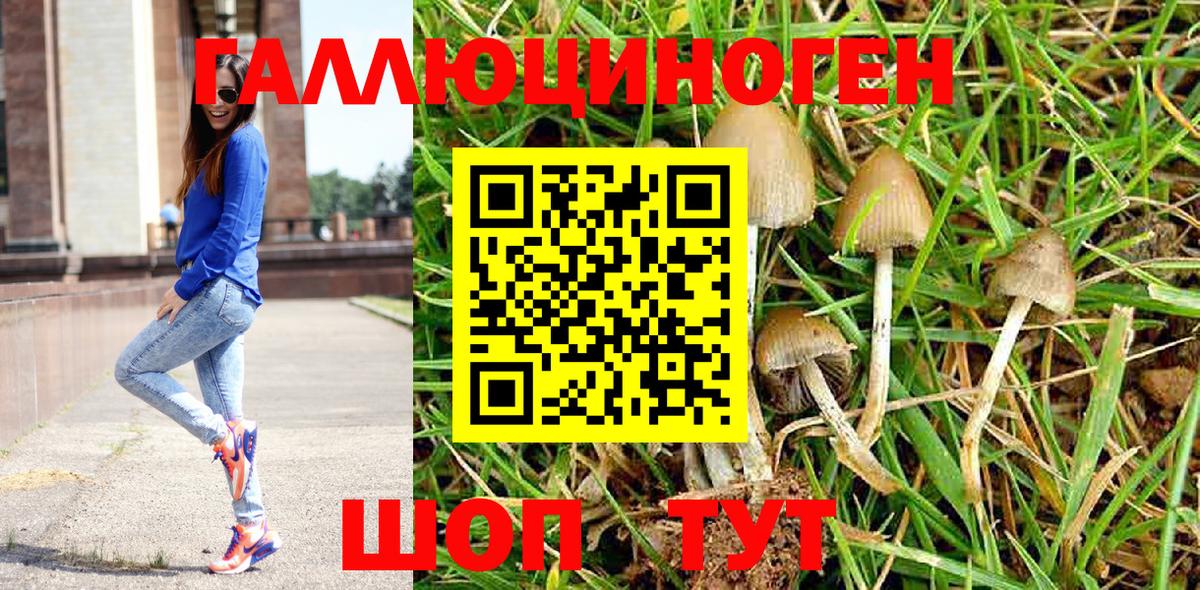 Псилоцибиновые грибы Psilocybe Людиново